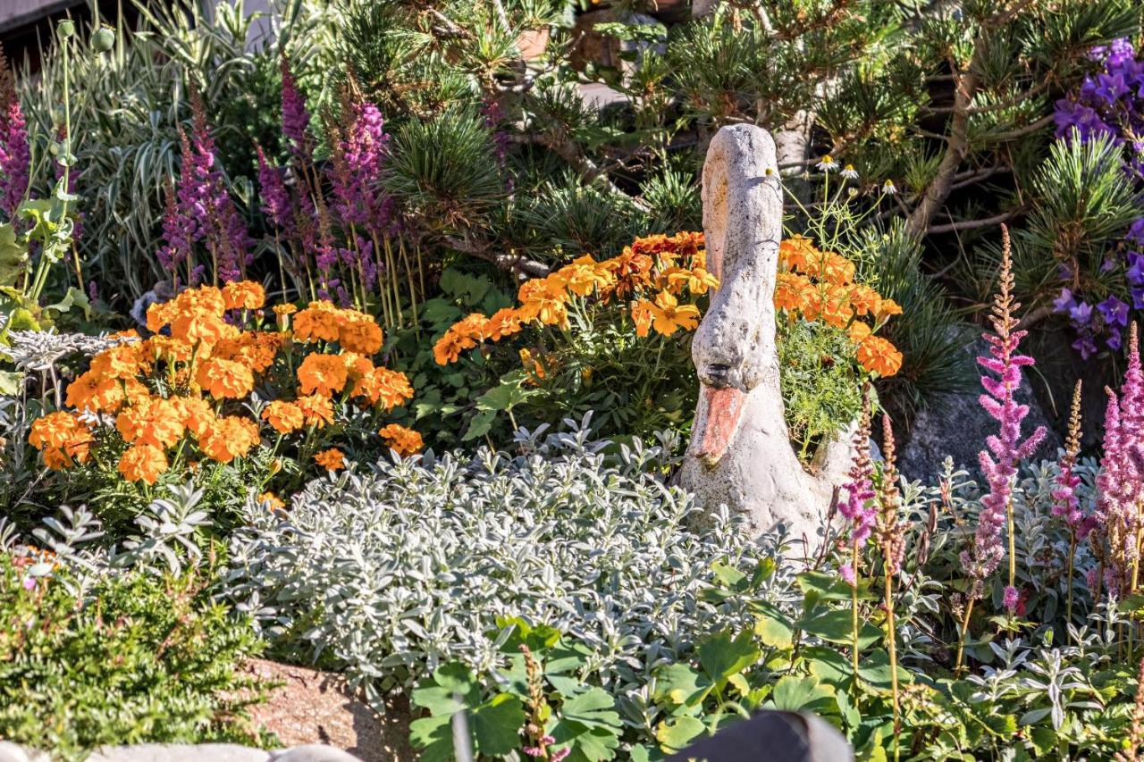 Tonigbauernhof Blumenwiese Schenna Exterior foto